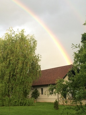 Főzde Főzde